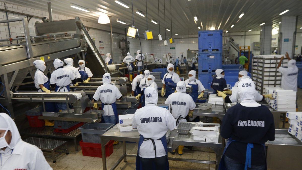 Cepal. El organismo pide trabajar en la atracción y protección de estas inversiones.