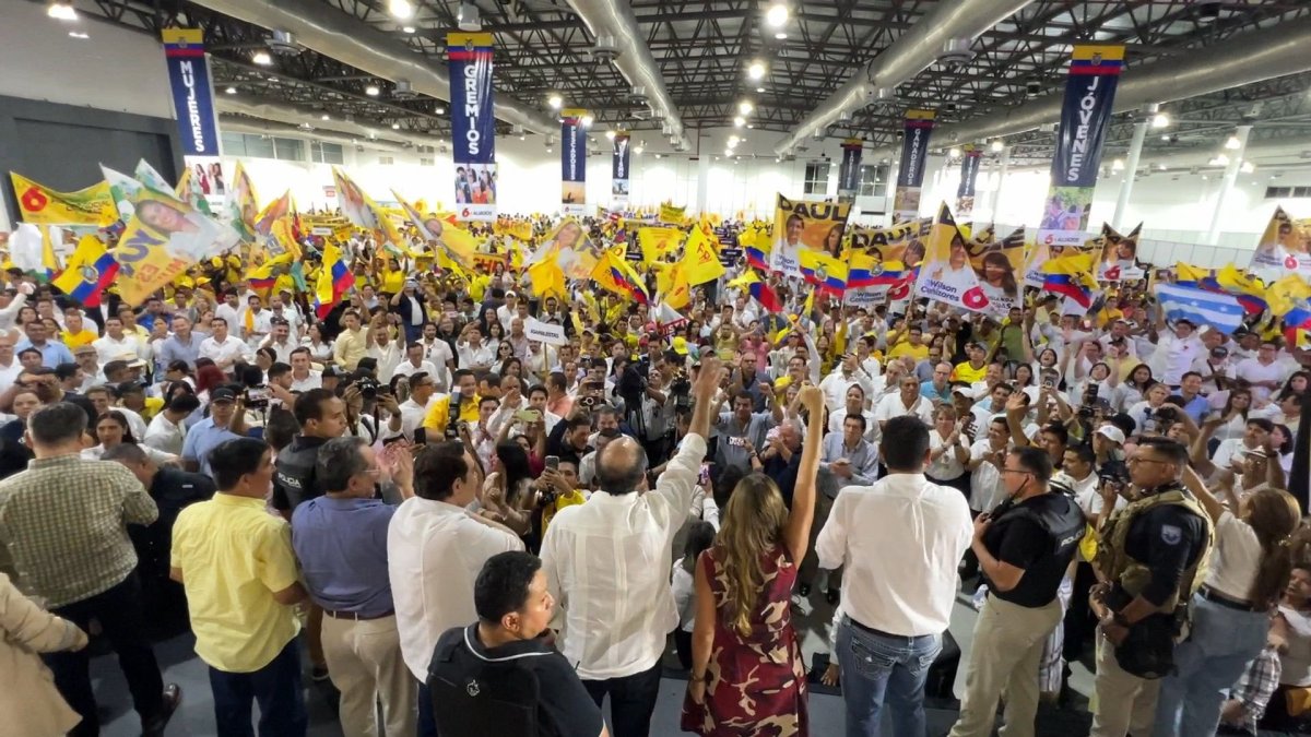 Según los consultados, en muchos casos los procesos de democracia interna no son transparentes y se eligen candidatos bajo la voluntad del líder.