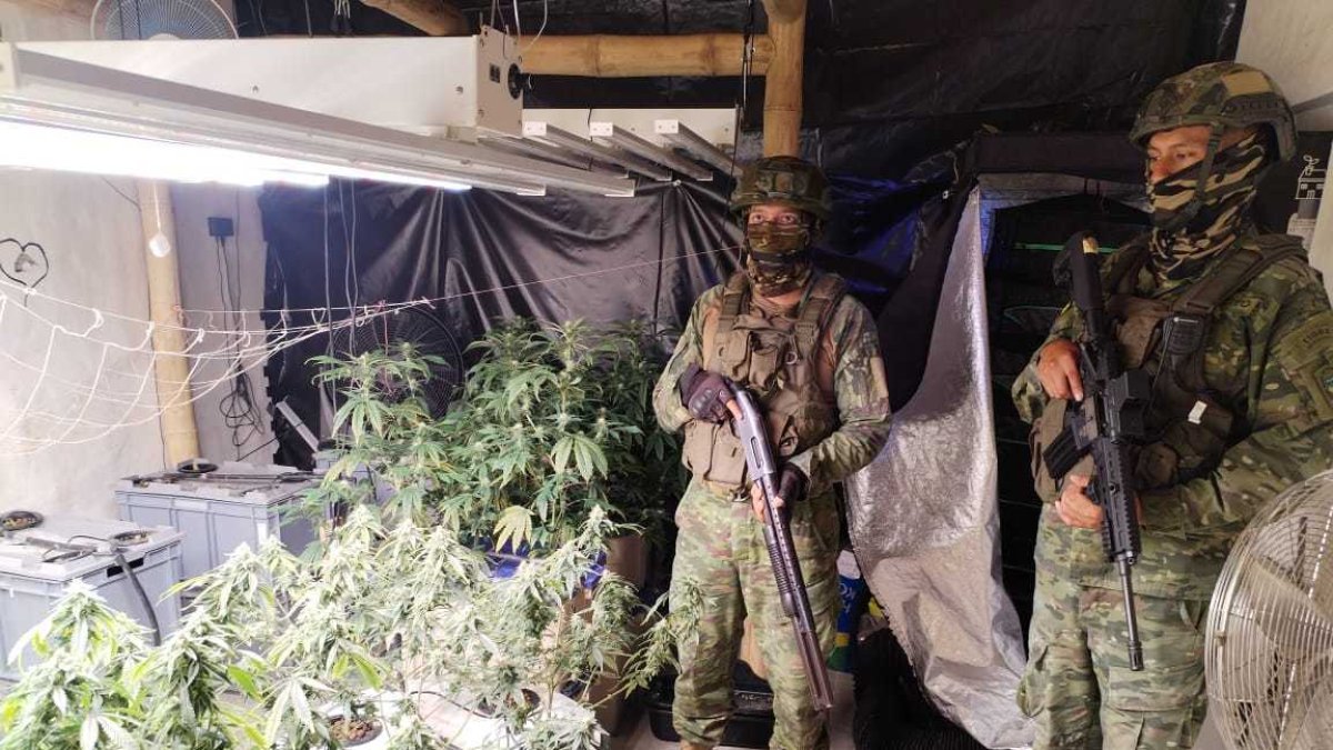 Panorama. El operativo fue ejecutado el domingo 29 de julio, en un sector perteneciente a la comuna Olón.