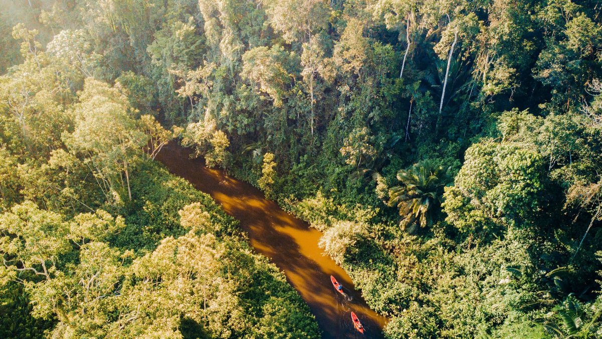 Uno de los ríos que se adentran en la amazonía ecuatoriana.