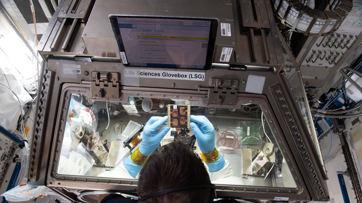Astronautas realizando experimentos con chips musculares.