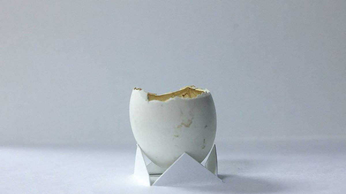 Arte. La exposición se inaugura en la galería Casa del Barrio, en Guayaquil.