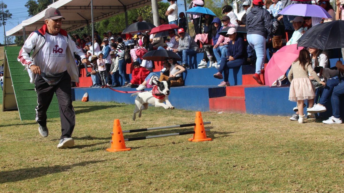 El adiestramiento facilitó la convivencia entre canes y personas lo que es indispensable para vivir en un entorno armónico.