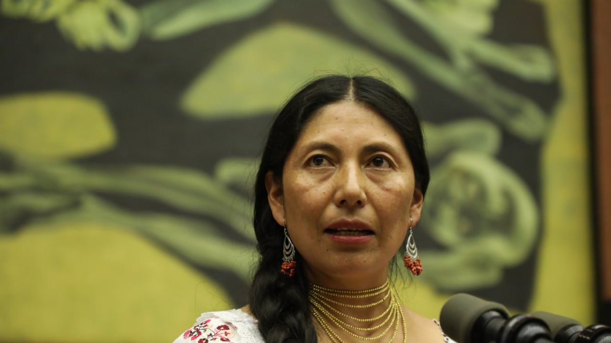 La dirigente indígena Pacha Terán en una intervención ante la Asamblea Nacional.