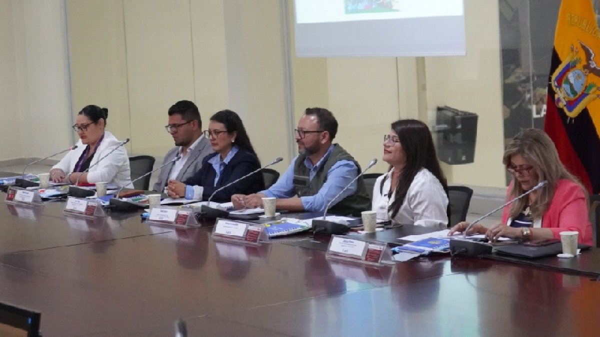 Las provincias más afectadas por incendios forestales son: Loja, Pichincha, Imbabura, Azuay, Chimborazo, Carchi, Guayas, El Oro, Cotopaxi y Manabí.