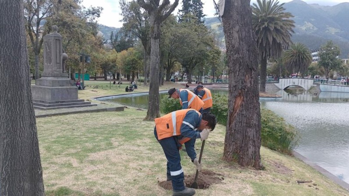En total se intervendrá en 11.956 metros cuadrados del parque La Alameda.