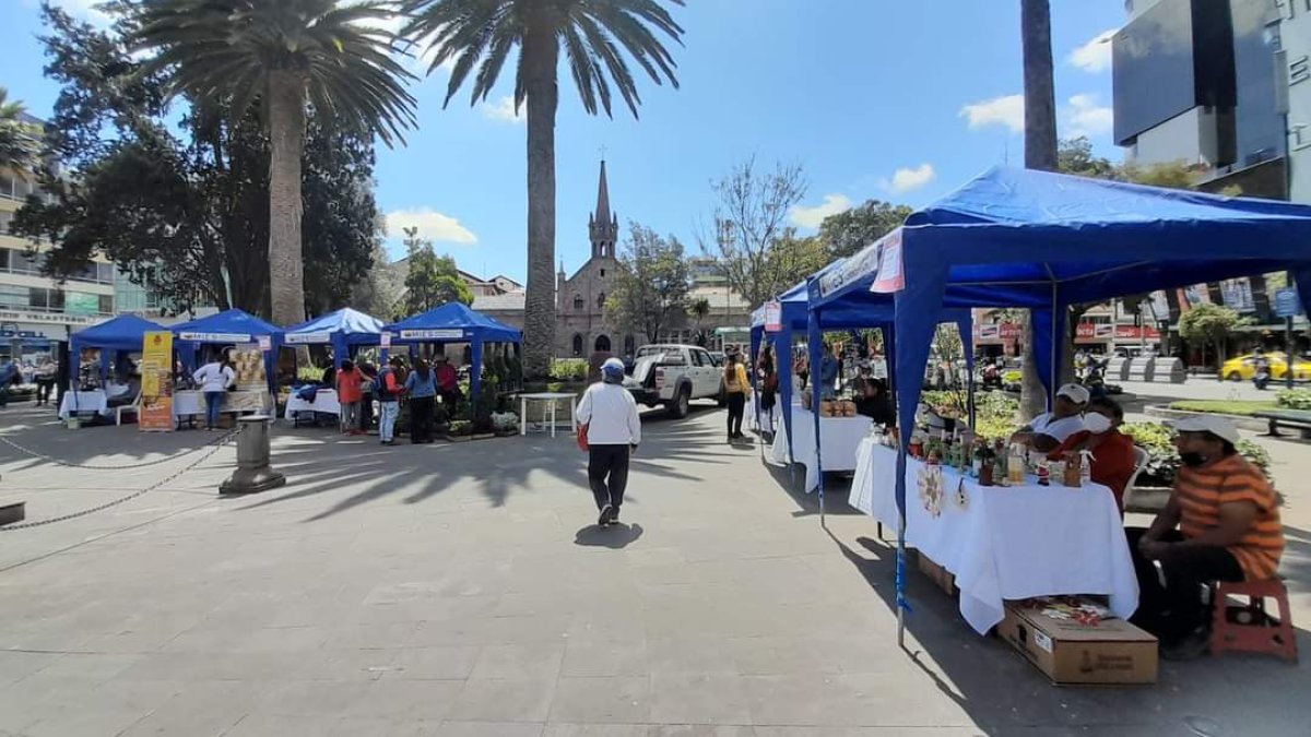Escenario. En la ciudad existe un árbol por cada 33 personas, cuando lo ideal es un árbol por cada tres personas, reconocen las autoridades locales.