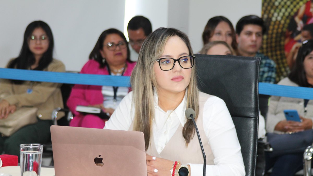La consejera de Participación Ciudadana, Johanna Verdezoto, en sesión de pleno.