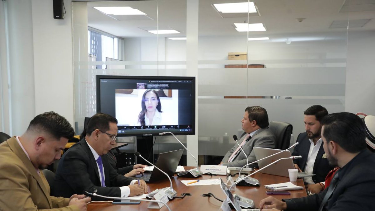 Verónica Abad comparece ante comisión.