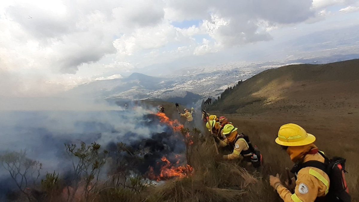 Los bomberos se desplegaron en las laderas del Pichincha, para evitar el avance del incendio forestal.