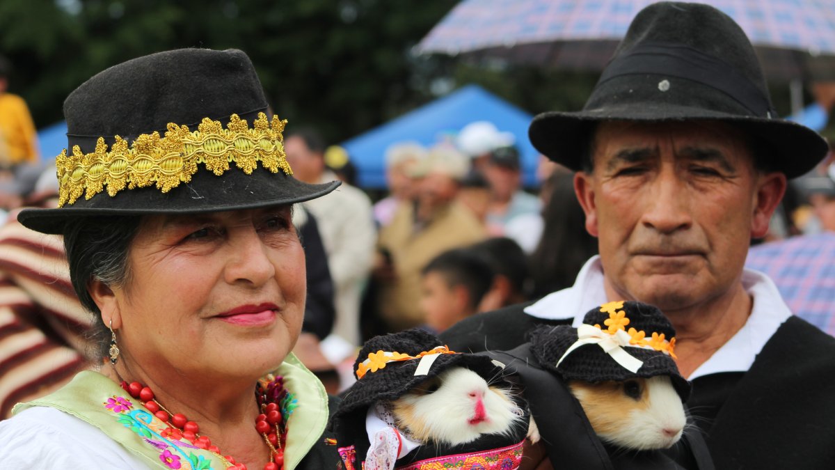 Una pareja sosteniendo dos cuy disfrazados de campesinos en Urbina (Ecuador), participando en el cuarto Festival del Cuy de Ecuador, una fiesta en torno al roedor más emblemático de los Andes.