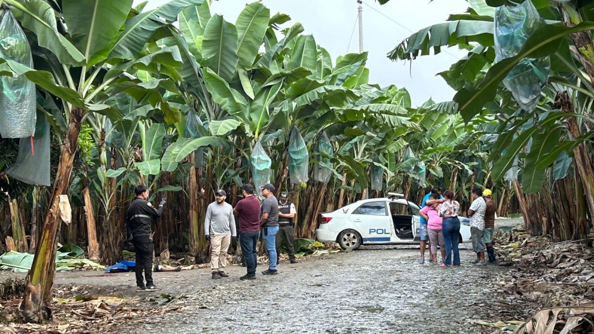 Crimen. El primer asesinato reportado ocurrió a las 06:30 en una bananera del cantón El Guabo.