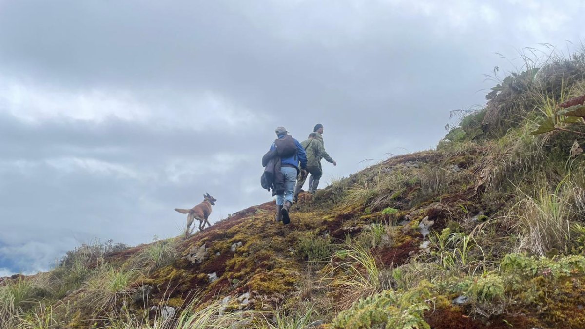 Durante la búsqueda de Mishell Sánchez en los alrededores del volcán Tungurahua.