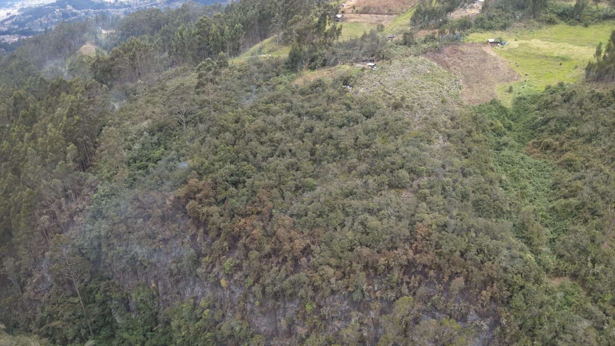 Al menos cuatro hectáreas de bosque junto al sector El Salado - Sinincay fueron afectadas por las llamas.