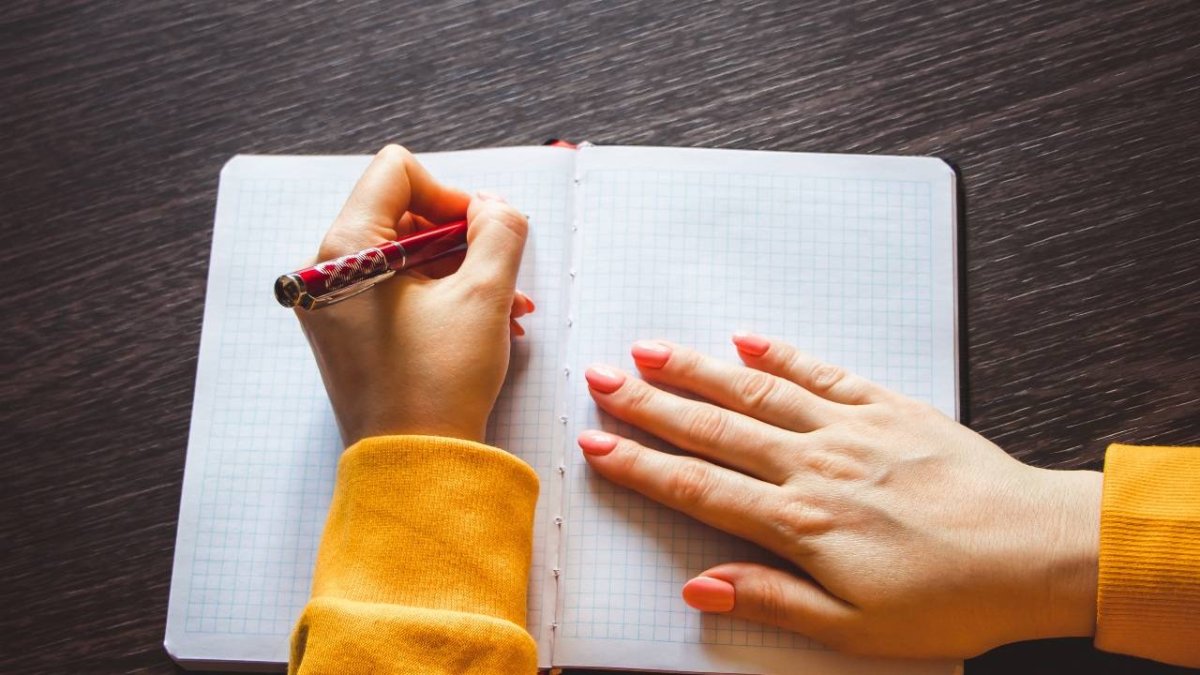 Las diferencias no implican que un grupo sea superior al otro