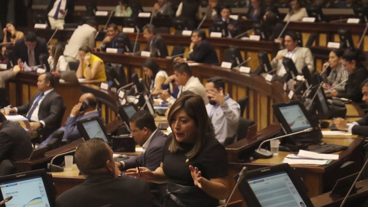 La Comisión de Seguridad ha aprobado la quinta ley en esta materia, según Inés Alarcón, presidenta de la mesa legislativa.