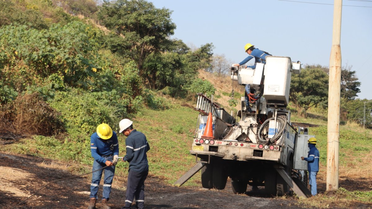 Este reptil causó un efecto dominó en la zona.
