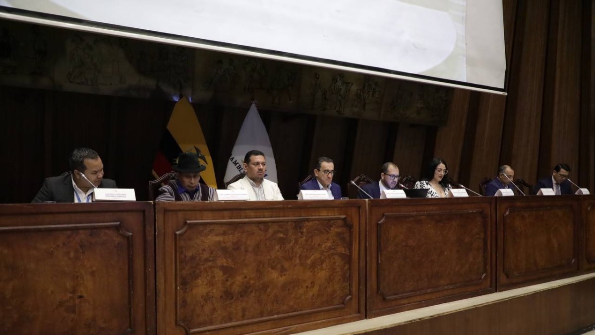 Las expresiones de la legisladora Araujo ocurrieron durante una sesión de la Comisión de Justicia.