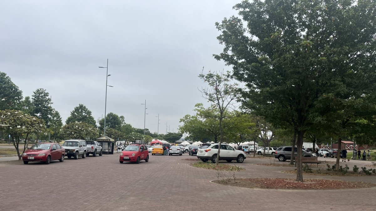 AExistiendo parqueos públicos, los vehículos estaban estacionados en las zonas peatonales.