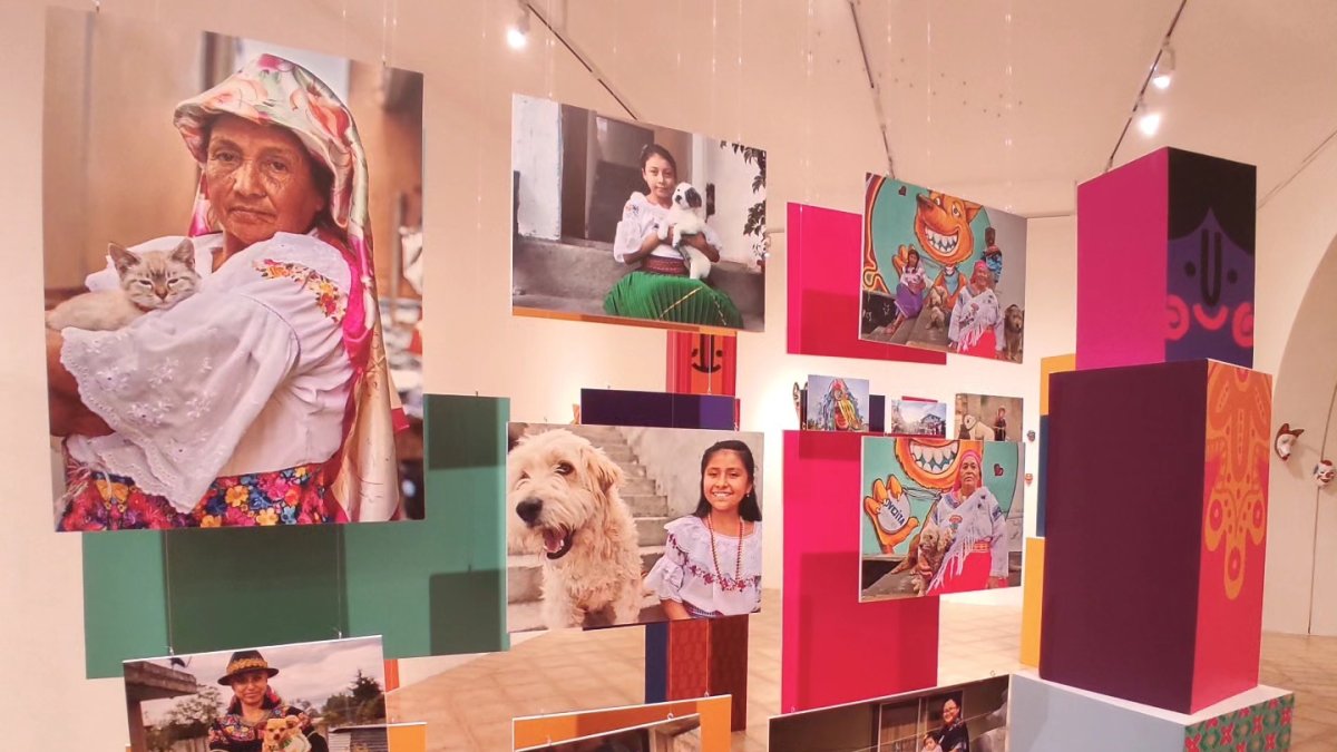 Arte. La exposición muestra a las mascotas con sus propietarios.