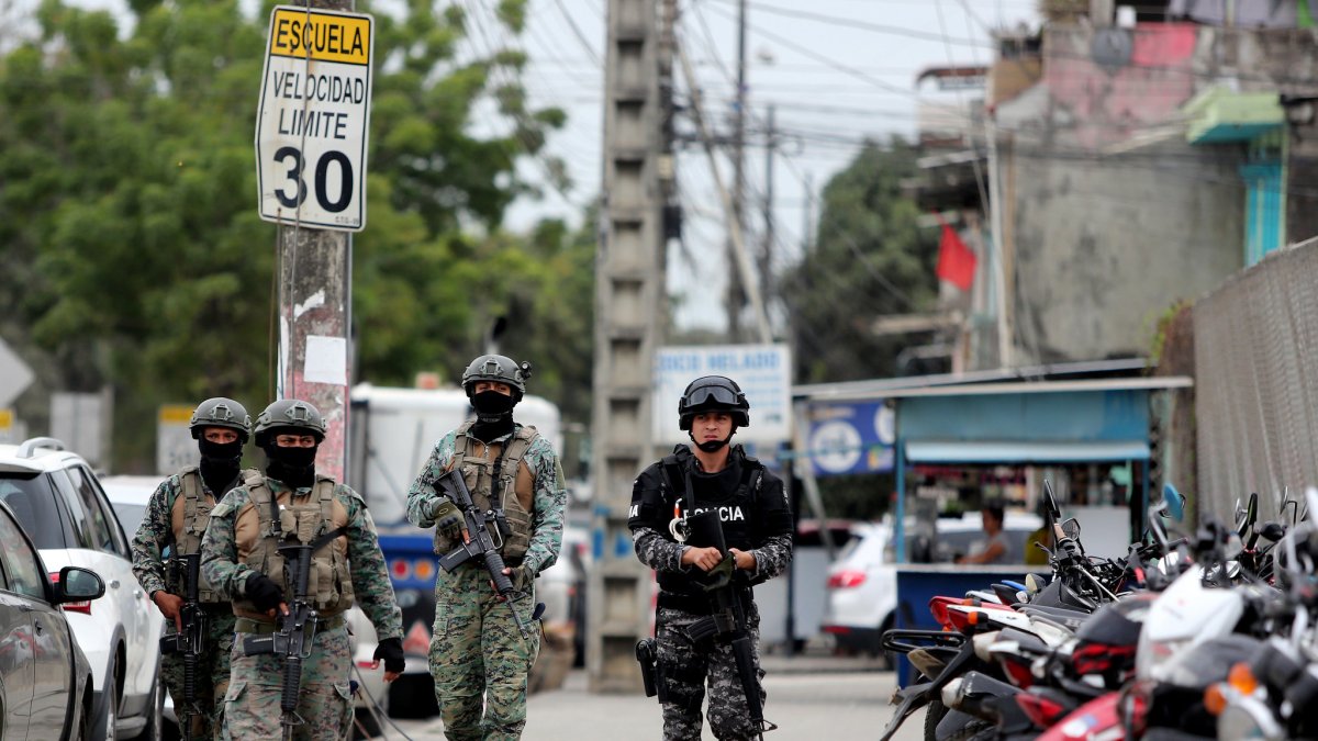 El evento es organizado con el apoyo de organismos internacionales.