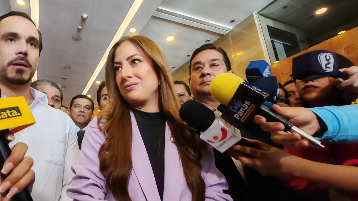 El caso se relaciona con el trabajo del Frente Parlamentario contra el Tráfico Ilegal de Combustible y sus Derivados, que investiga un presunto contrabando.