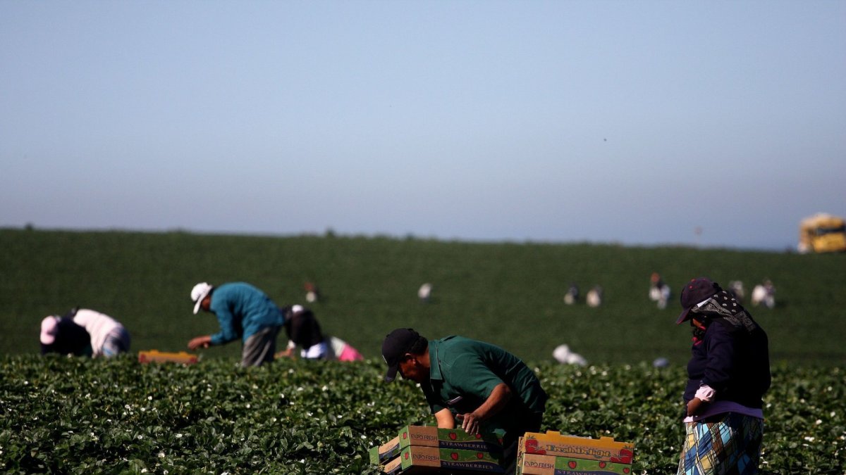 Agro. Personas trabajando en una granja sostenible.