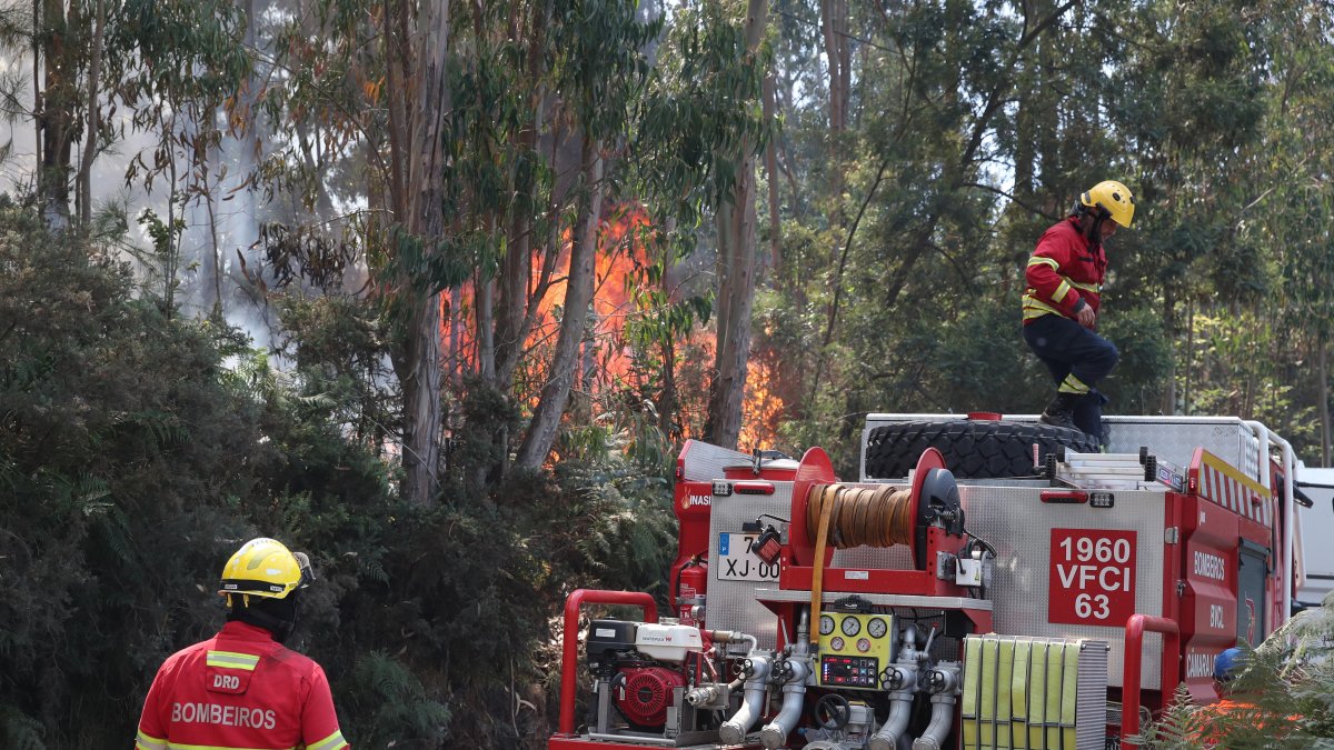 Los incendios en Madeira no cesan y las condiciones climatológicas no ayudan a la labor de los bomberos lusos.