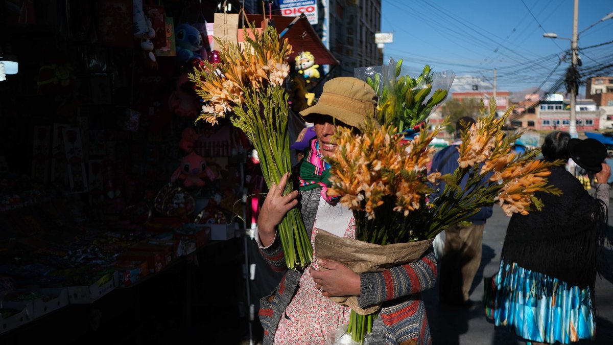 Una mujer aimara vendiendo plantas en la calle de las Brujas, en La Paz.