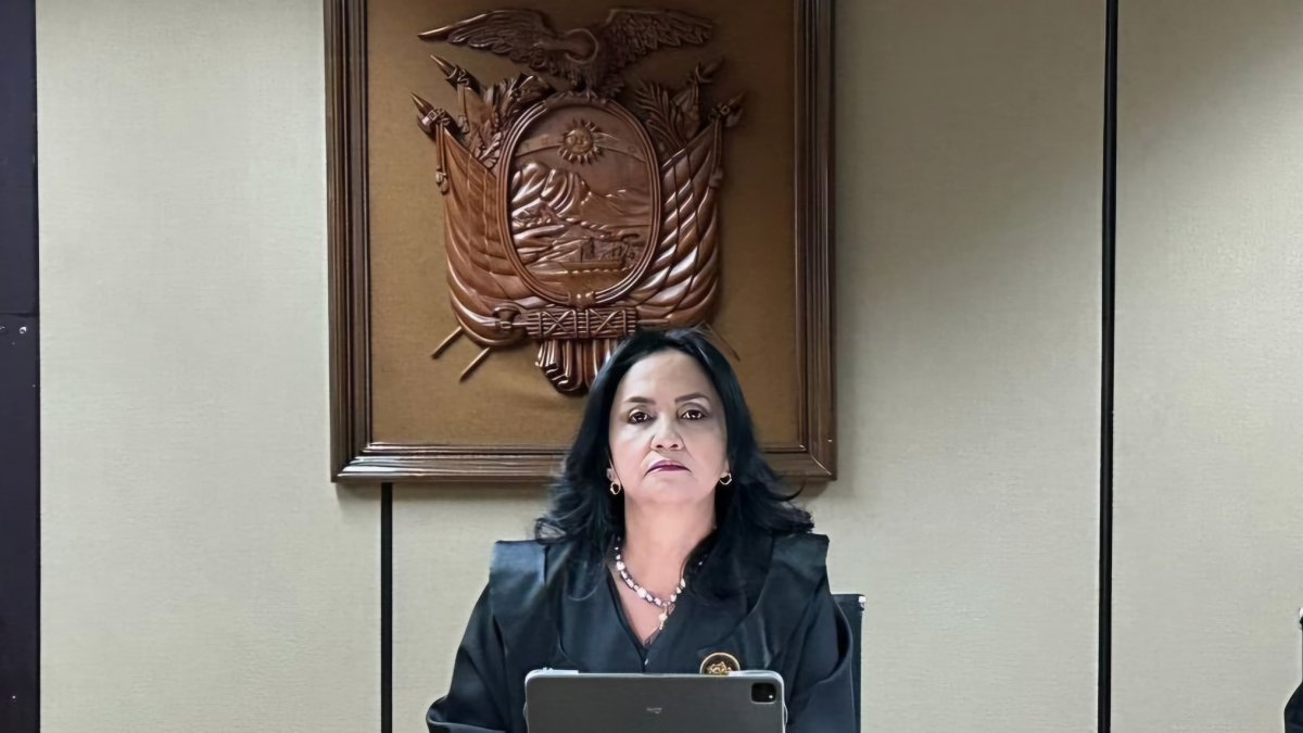 La defensa de la jueza nacional Emma Tapia presentó la acción constitucional.