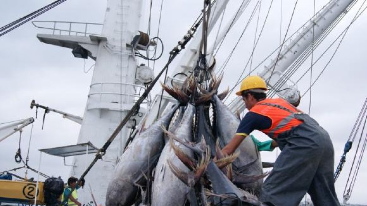 Control. El país espera que la sanción sea eliminada en 2025.