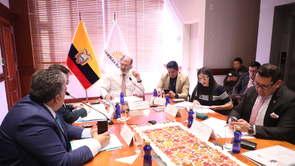 Una legisladora del correísmo dijo el fin de semana que, con la presidencia de Viviana Veloz, se retomaría el juicio político.