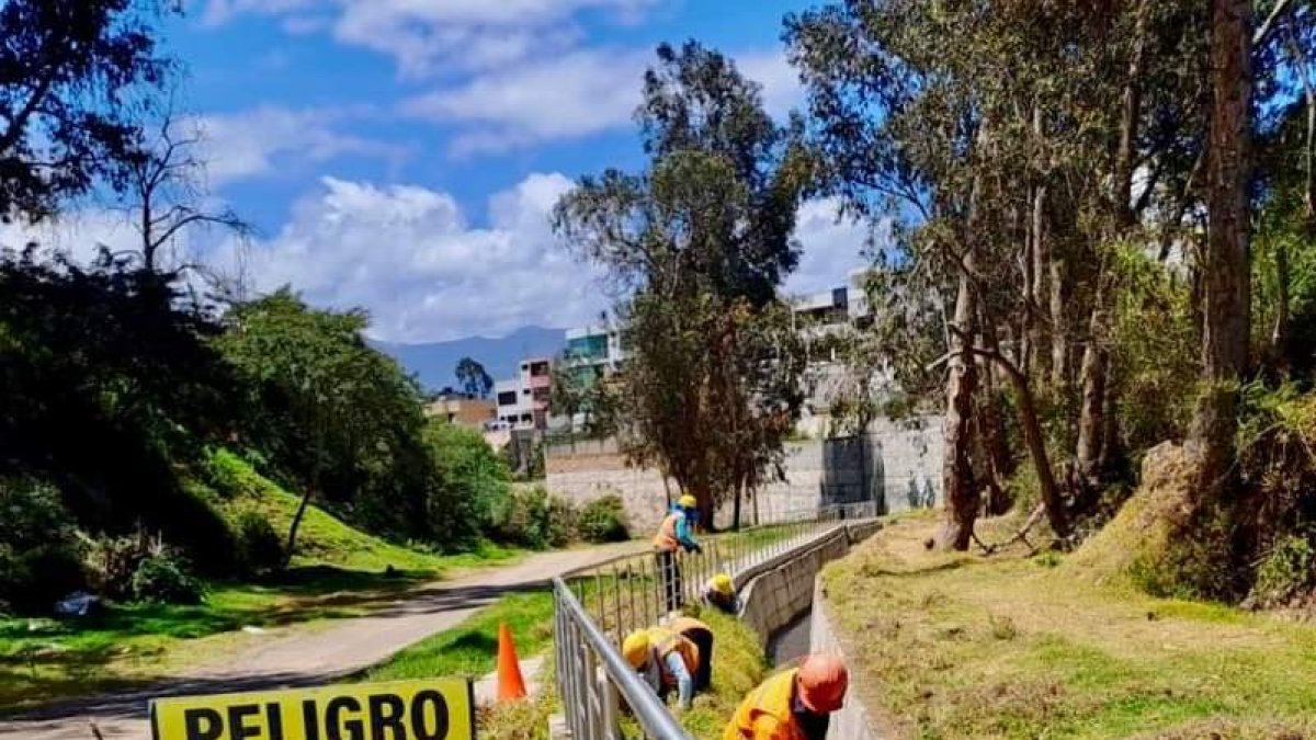 Las cuadrillas municipales limpian y protegen las especies de la flora en cada quebrada de Ambato.