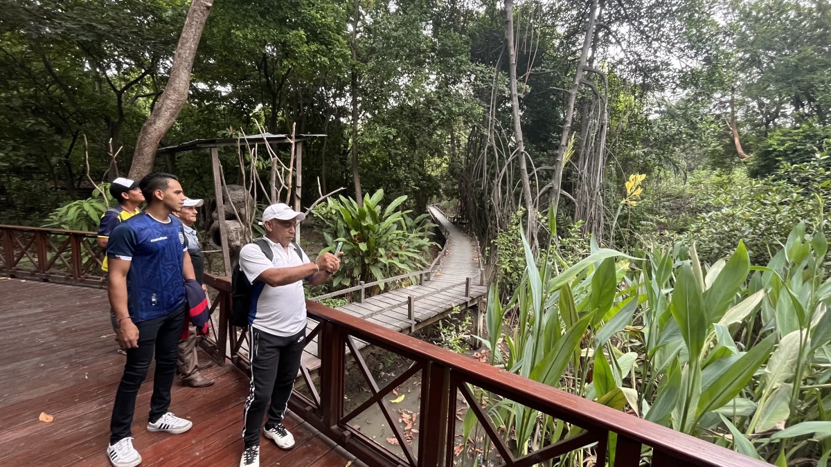 Samborondón. El manglar del Parque Histórico fue uno de los sitios donde intervinieron expertos de la UEES.