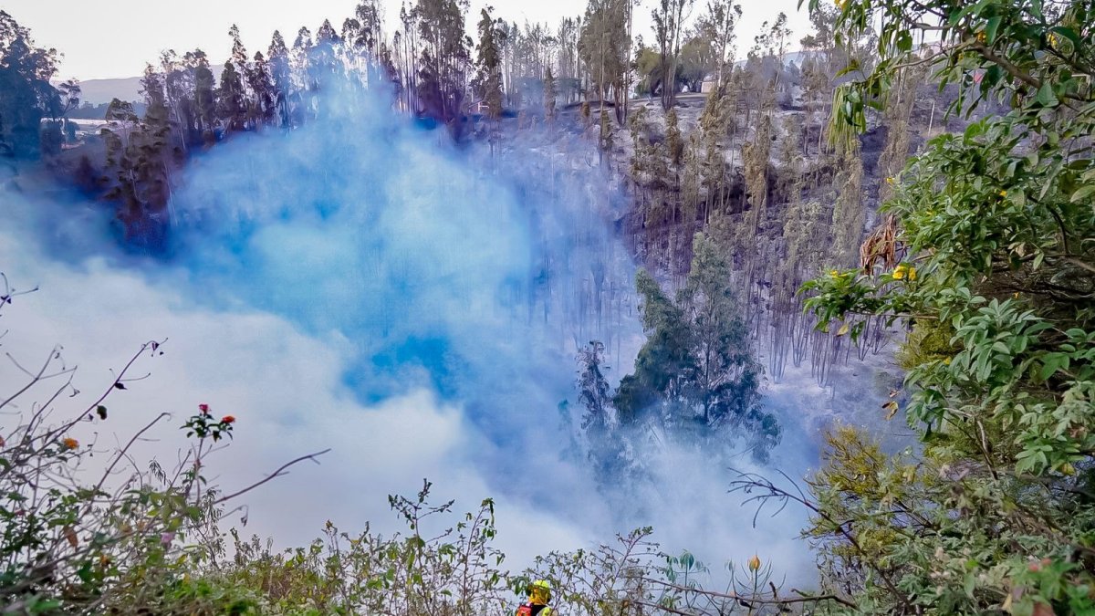 Hecho. Se necesitó de 62 Bomberos para apagar el incendio en Yaruquí