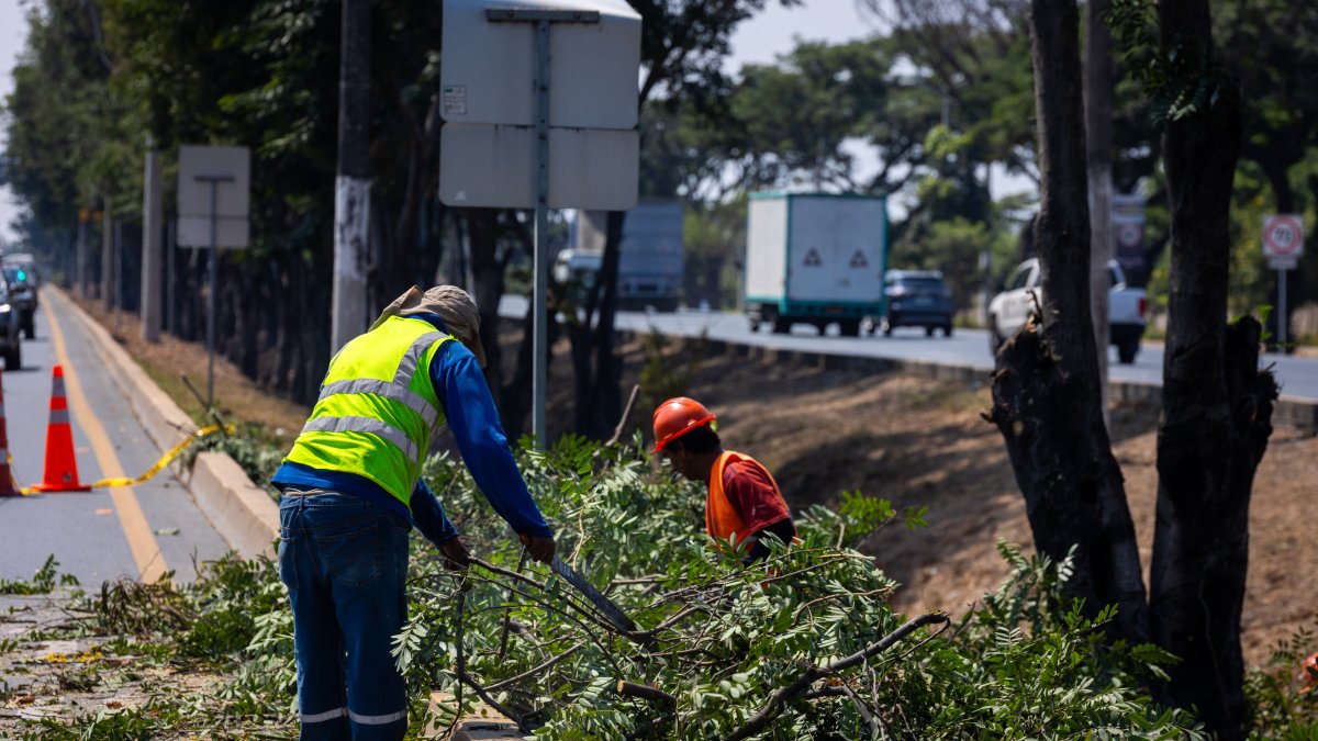 El Municipio de Guayaquil inició con la poda de varios puntos de vía a la costa.
