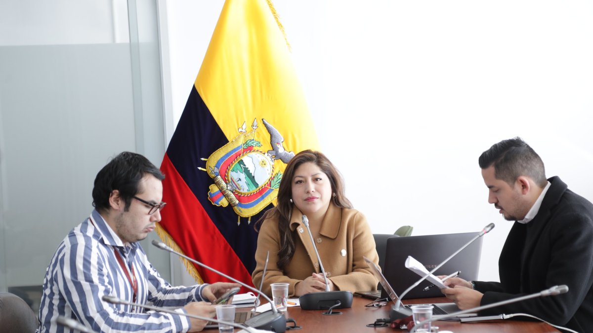 La asambleísta oficialista Inés Alarcón presentó el recurso contra la mesa de Fiscalización.