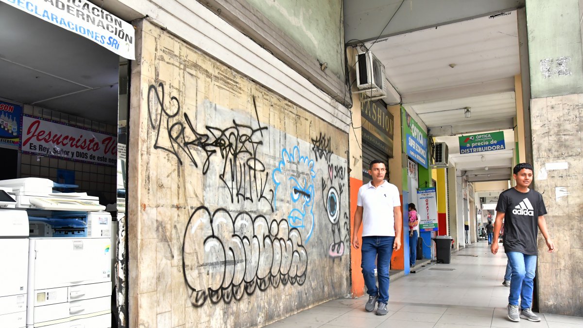 Paredes de locales comerciales, zonas turísticas y bienes municipales son rayadas con graffiti.