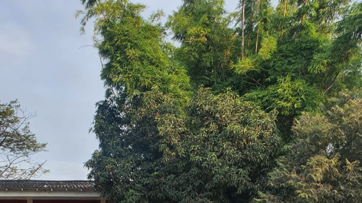 Menores. Los niños de la Aldea se divierten en una actividad recreativa.