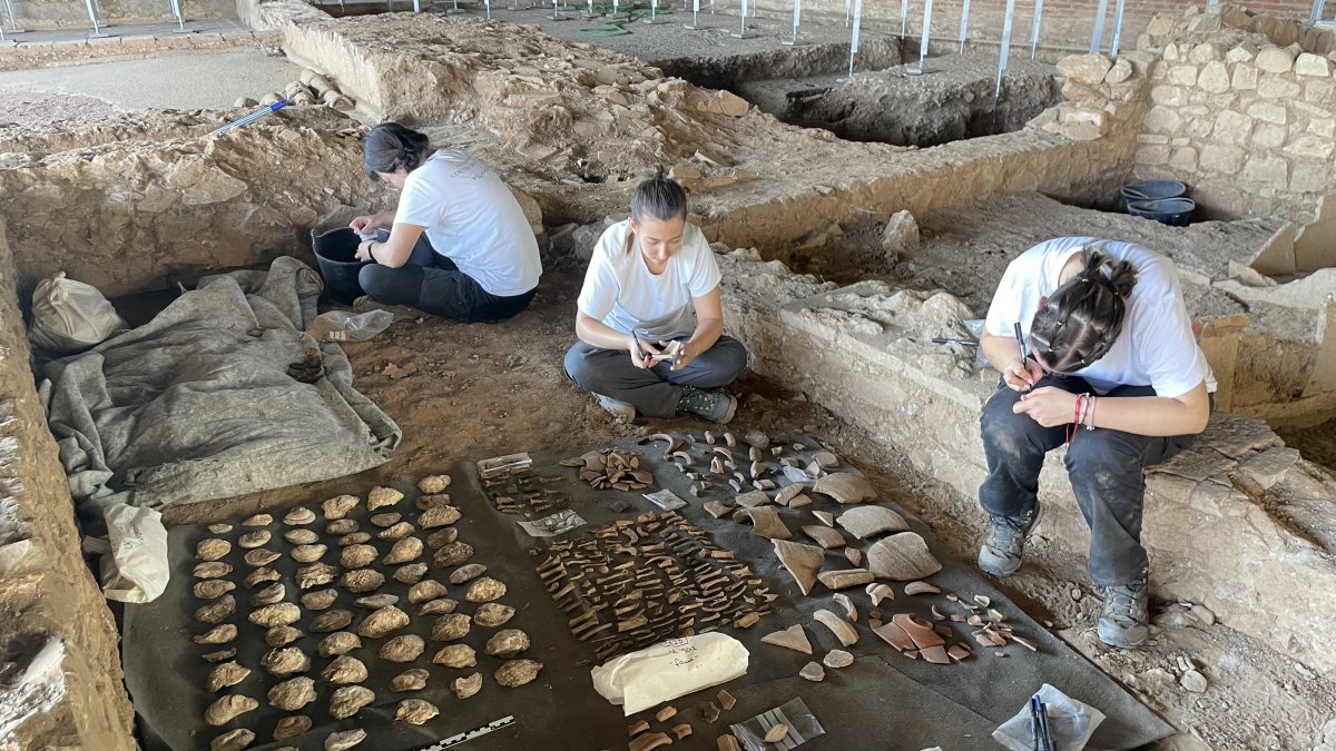 Una campaña de trabajos de campo en una casa lujosa junto al Anfiteatro de Mérida ha descubierto una gran acumulación de ostras.
