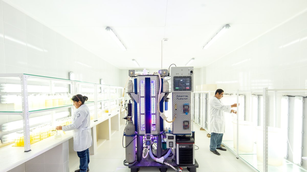 En un mundo donde el conocimiento y la innovación son pilares fundamentales para el progreso.