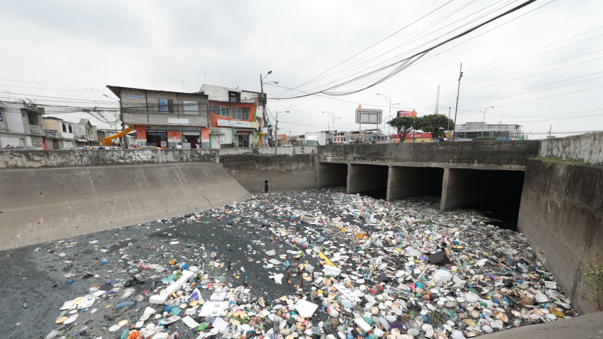 Un pedido recurrente en Guayaquil se centra en darle vida a los parques y los canales de agua naturales, hoy convertidos en focos contaminantes.