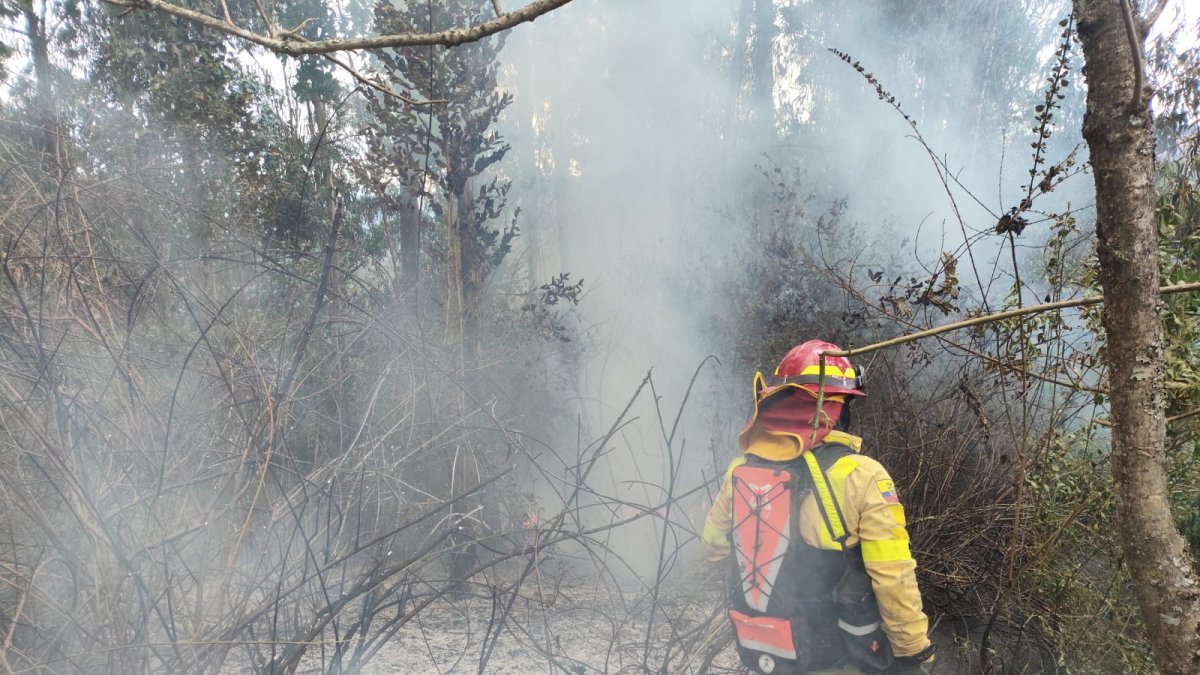Pasadas las 16:00 de este 25 de agosto, los bomberos controlaron el incendio en Lumbisí.