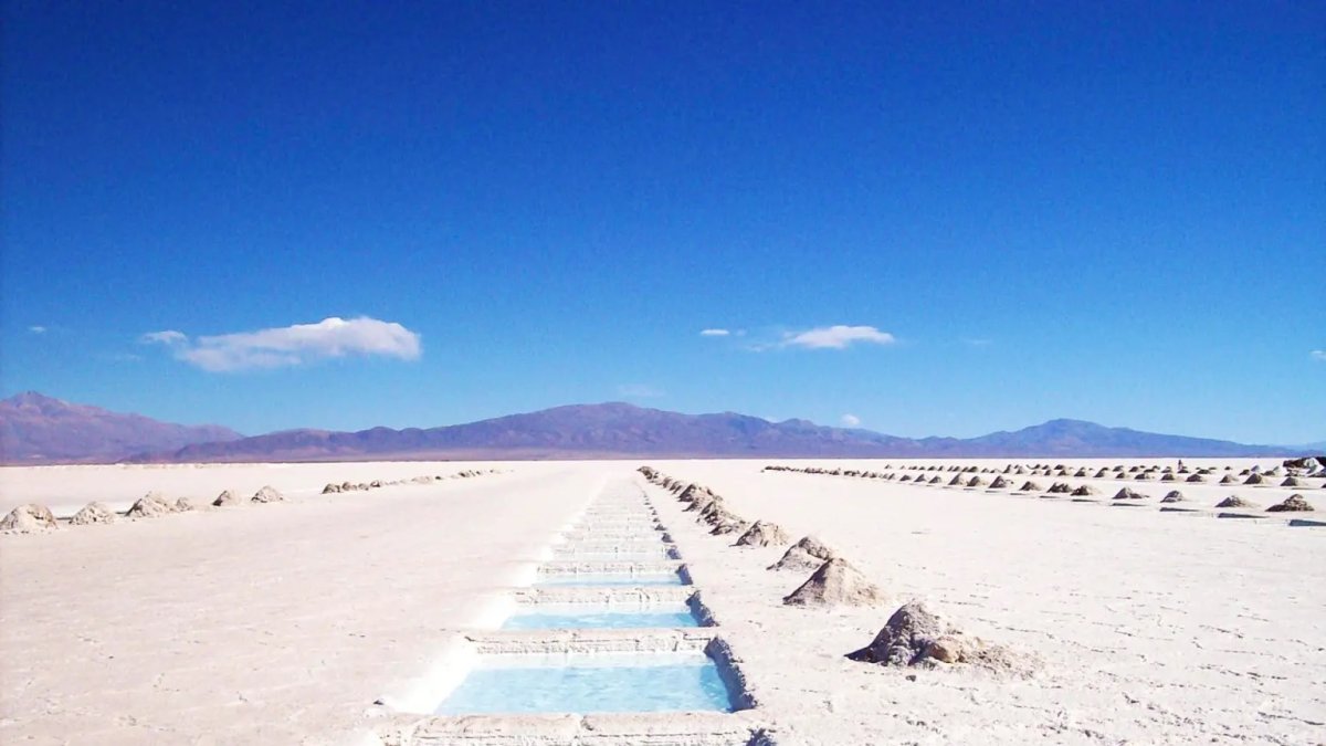 Las empresas han debido replantear sus estrategias.