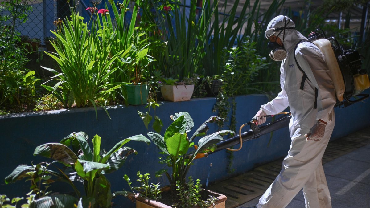 Un trabajador durante una jornada de fumigación al interior de una escuela en la región administrativa de Ceilândia, en Brasilia (Brasil).