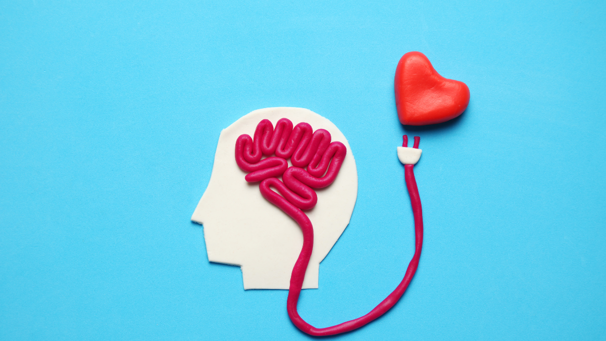 Los resultados de los registros de actividad cerebral han avanzando en la concreción de que el amor se activa en diferentes áreas cerebrales.