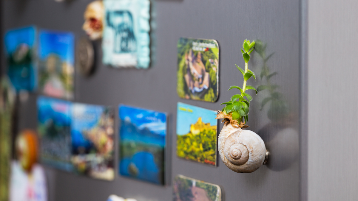 Existen mitos alrededor del uso de dispositivos magnéticos en las refrigeradoras