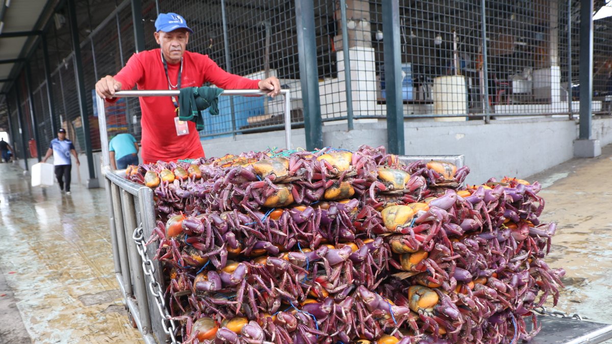 Comercio. En el mercado Caraguay uno de los comerciantes que vende cangrejos.