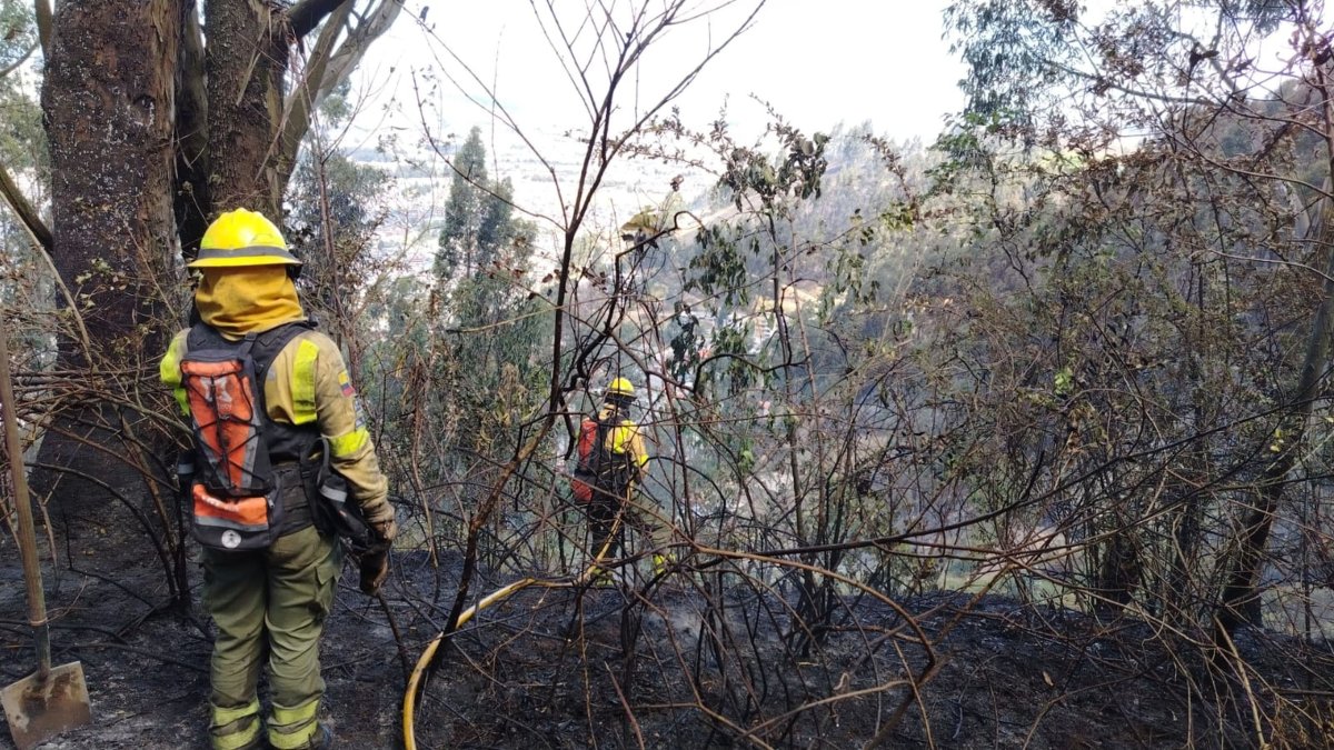 Hecho. Otro sector afectado por los incendios forestales es Chillogallo.