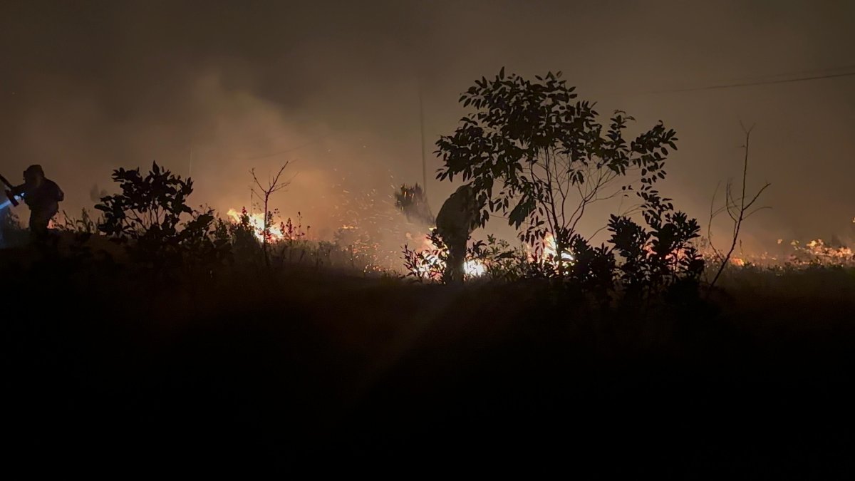 El incendio forestal en Quilanga, Loja, ha afectado varias hectáreas de vegetación y amenaza la vida de quienes habitan alrededor.